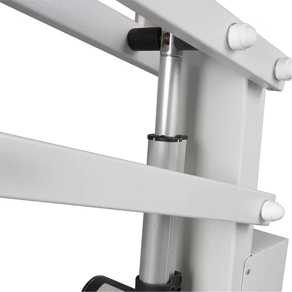 Simple Electric Lift Grooming Table